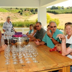 Gansbaai Wynuitstappie na Elgin 1_1